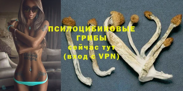 таблы Заводоуковск
