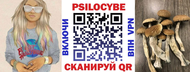 наркотики  Западная Двина  Псилоцибиновые грибы мухоморы 