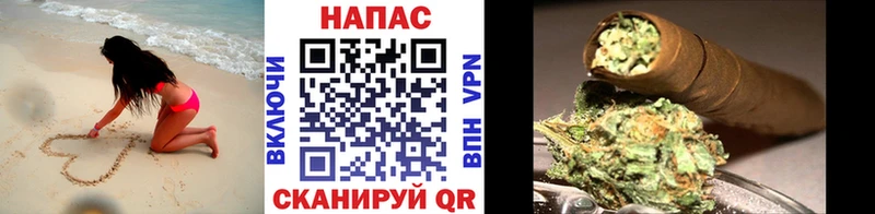 Шишки марихуана марихуана Западная Двина